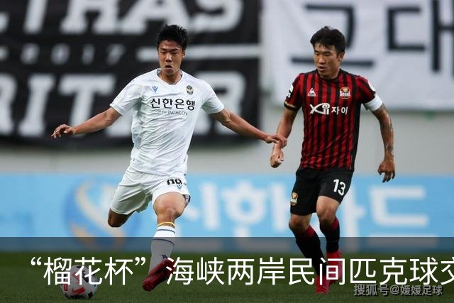“榴花杯”海峡两岸民间匹克球交流赛在云南省玉溪开赛